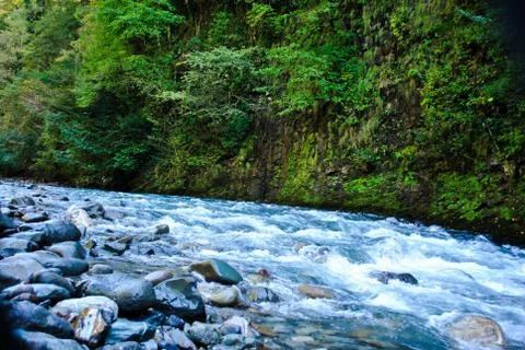 Mountain river. Stock Photos