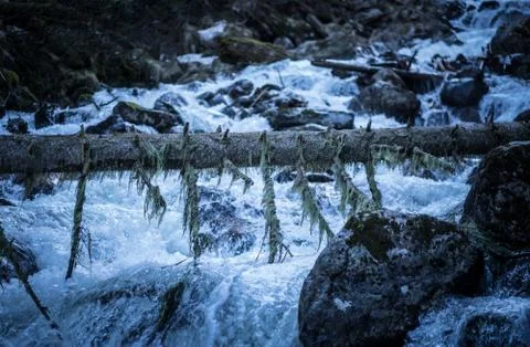 Mountain river Stock Photos