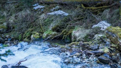 Mountain river Stock Photos