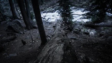 Mountain river Stock Photos