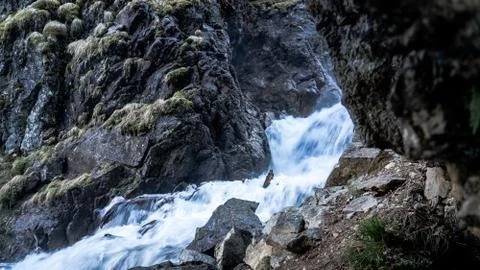 Mountain river Stock Photos