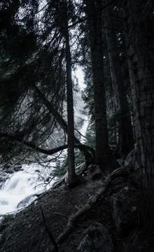 Mountain river Stock Photos