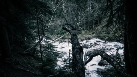 Mountain river Stock Photos