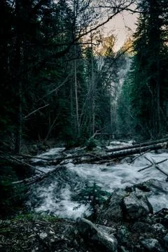 Mountain river Stock Photos