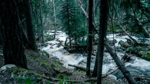 Mountain river Stock Photos