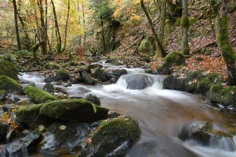 Mountain river Stock Photos