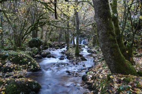 Mountain river Stock Photos