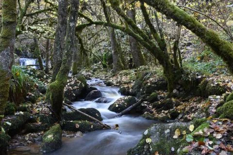 Mountain river Stock Photos