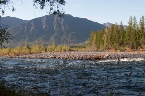 Mountain river. Stock Photos