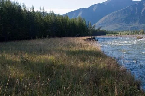 Mountain river. Stock Photos