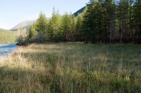 Mountain river. Stock Photos