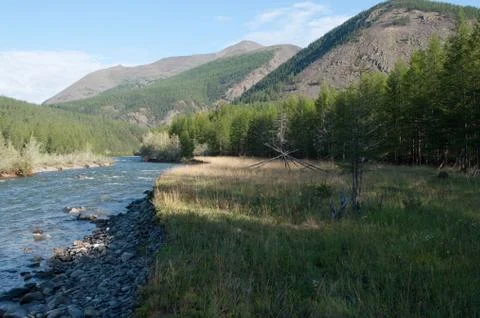 Mountain river. Stock Photos