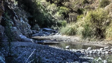 Mountain river Stock Photos