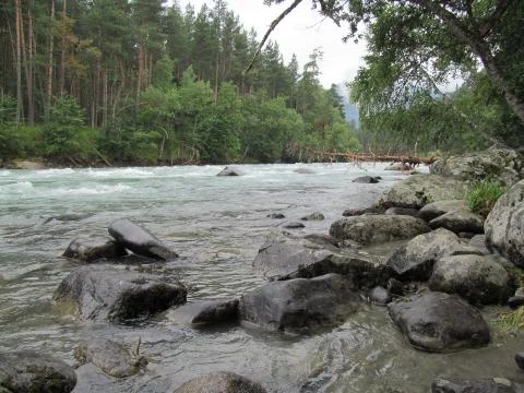 Mountain river Stockfoto's