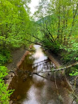 Mountain river Stock Photos