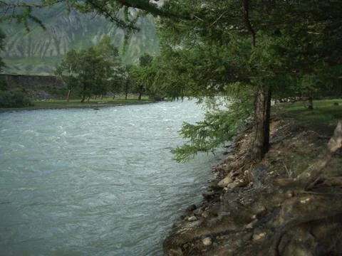 Mountain river Stock Photos