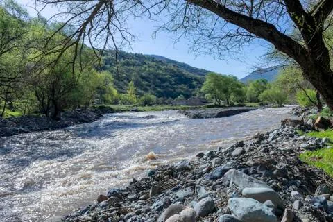 Mountain river. Stock Photos