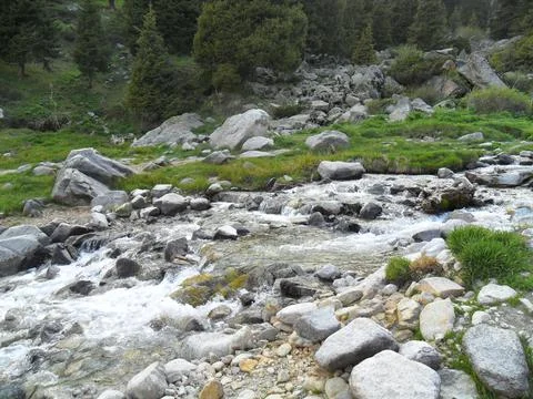 Mountain river  Stock Photos