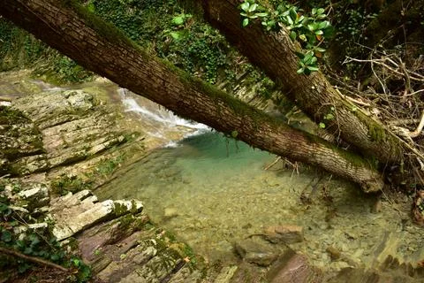 Mountain river Stock Photos