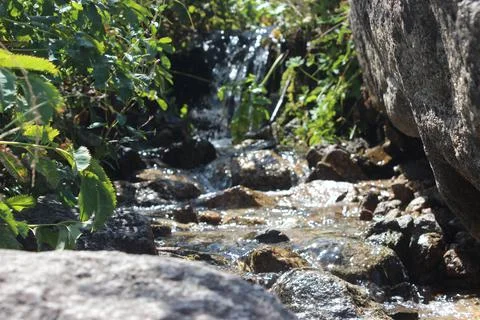 Mountain river Stock Photos