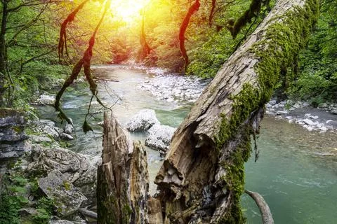 Mountain river Stock Photos