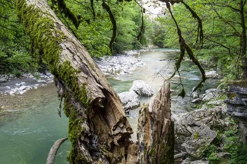 Mountain river Stock Photos