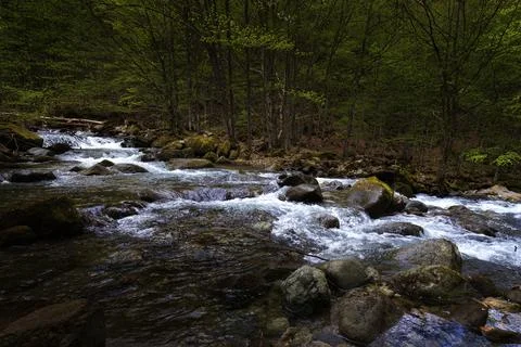 Mountain river Stock Photos