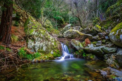 Mountain river Foto stock