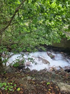 Mountain river Stock Photos