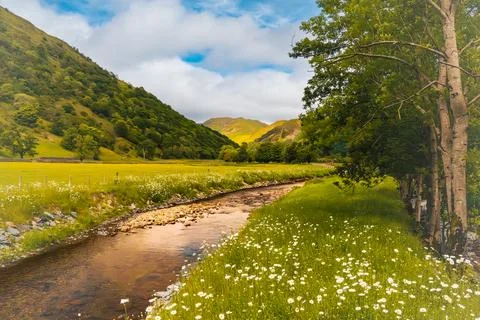 Mountain river Stock Photos