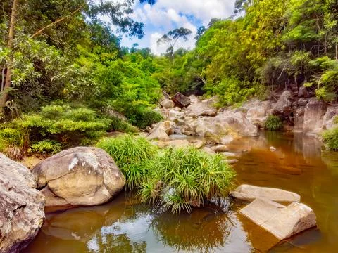 Mountain river. Stock Photos