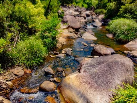 Mountain river. Stock Photos