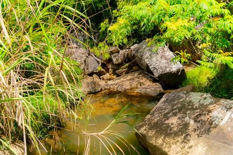 Mountain river. 스톡 사진