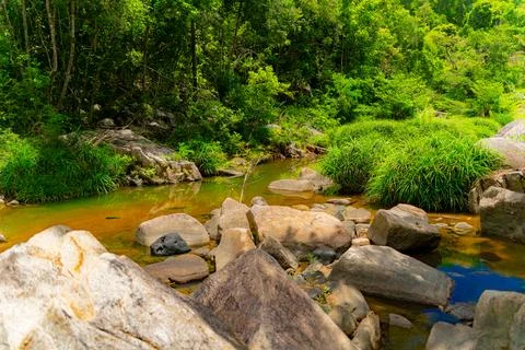 Mountain river. Stock Photos