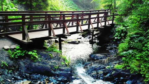 Mountain river in the picturesque mountains Stock Footage 115438516