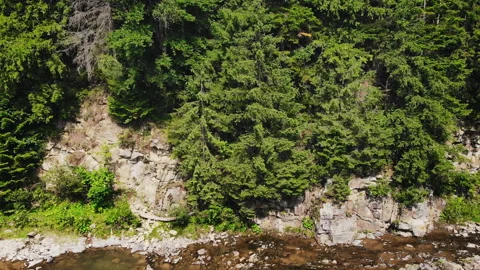 Mountain river in the picturesque mountains Stock Footage 119949150