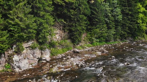 Mountain river in the picturesque mountains Stock Footage 119951214
