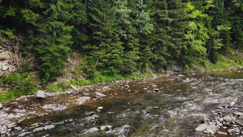 Mountain river in the picturesque mountains Stock Footage 119951721