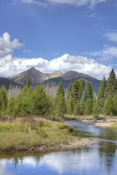 Mountain River in a Pine Valley Stock Photos