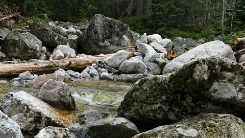 Mountain river in Polish tatra Vídeo Stock 99708835