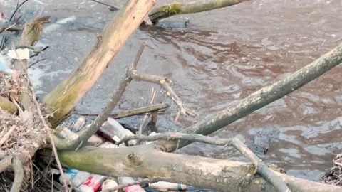 The mountain river is polluted with plastic trash floating on its surface. Stock Footage 236757839