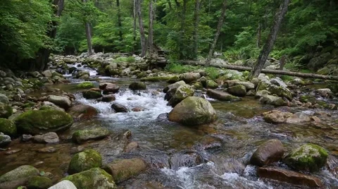 Mountain river in the Primorye Territory. Siberia, Russian Far East. Stock Footage 65786423