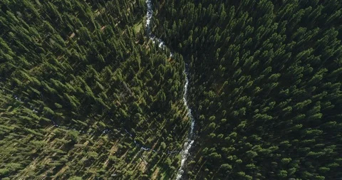 Mountain river. Pure natural water. A small river in the forest.  Video stock 112821153