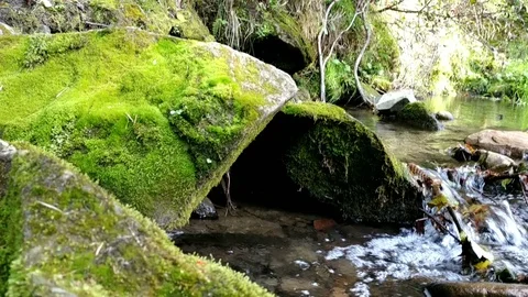 Mountain river. Pure water. 動画素材 99337926