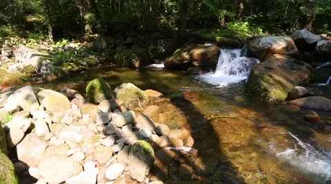 Mountain river with pure water in a remote area. Siberia, Russian Far East Stock Footage 67252802