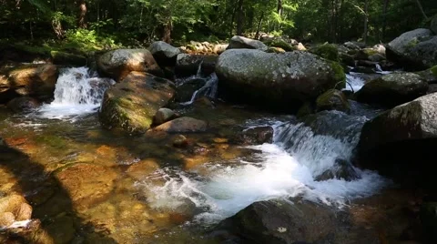 Mountain river with pure water in a remote area. Siberia, Russian Far East Stock Footage 67252810