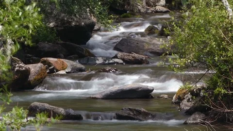 Mountain river on the Pyrenees of Andorra. 스톡 동영상 79684650