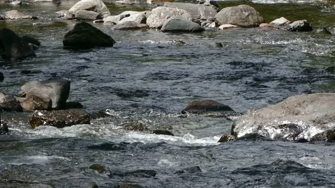 Mountain river on the Pyrenees of Andorra. Stock Footage 79688211