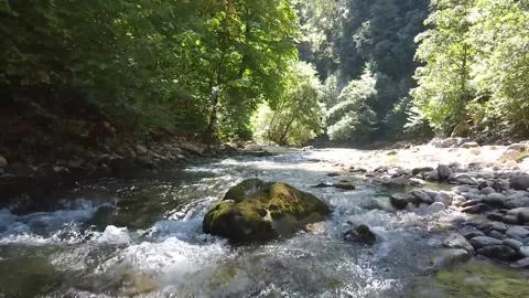 Mountain river quadcopter Stock Footage 149177771