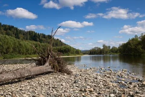 The mountain river with rapid current Stock Photos
